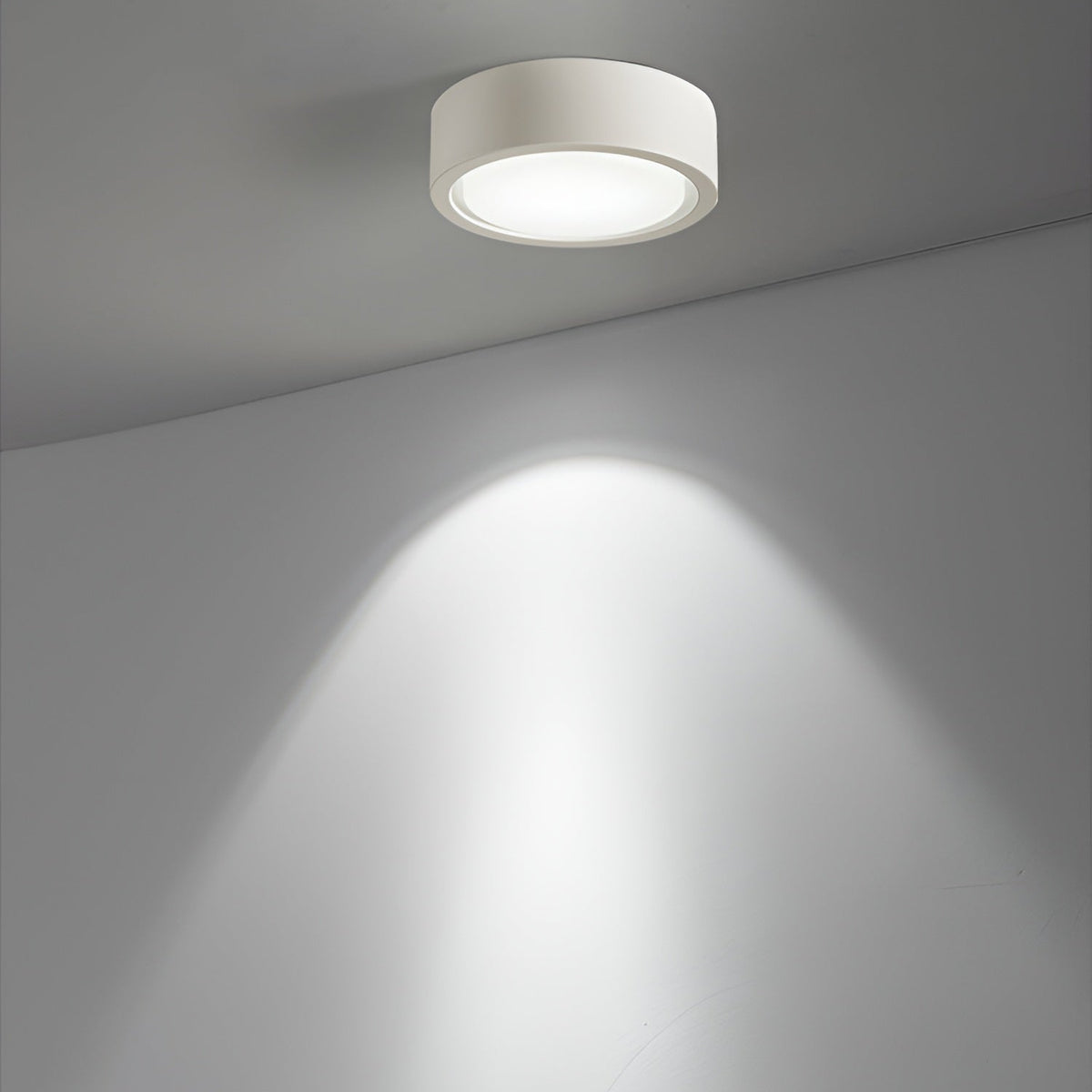 Luffon Modern Acrylic Surface Mounted LED Ceiling Light
