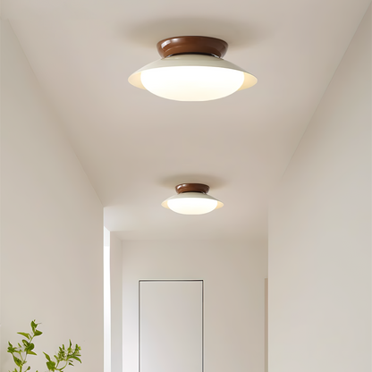 Dylan Retro Metal Ceiling Light