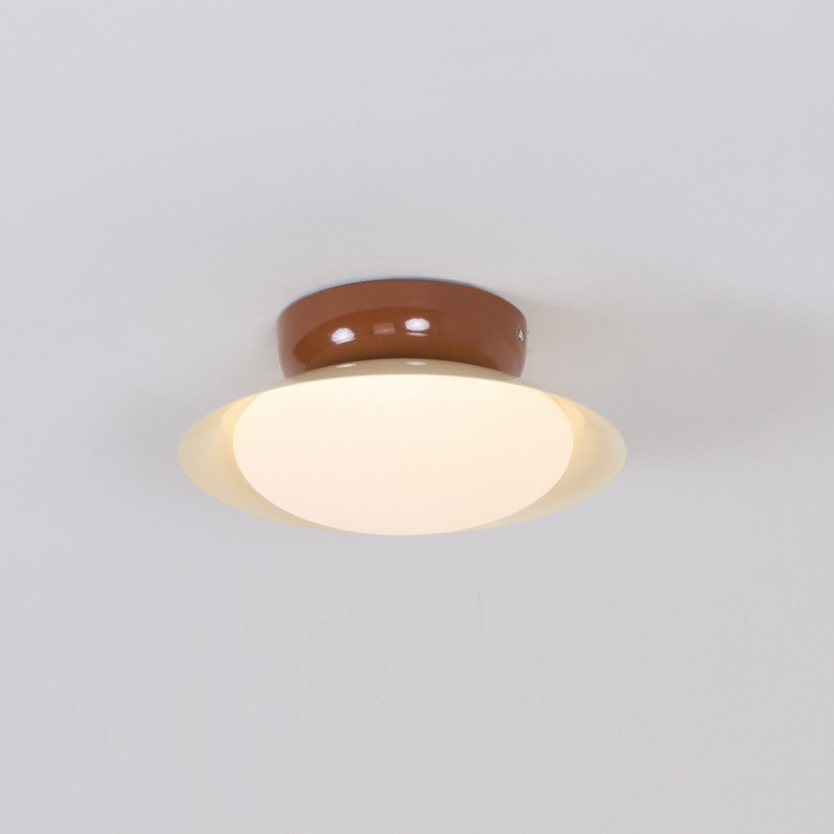 Dylan Retro Metal Ceiling Light