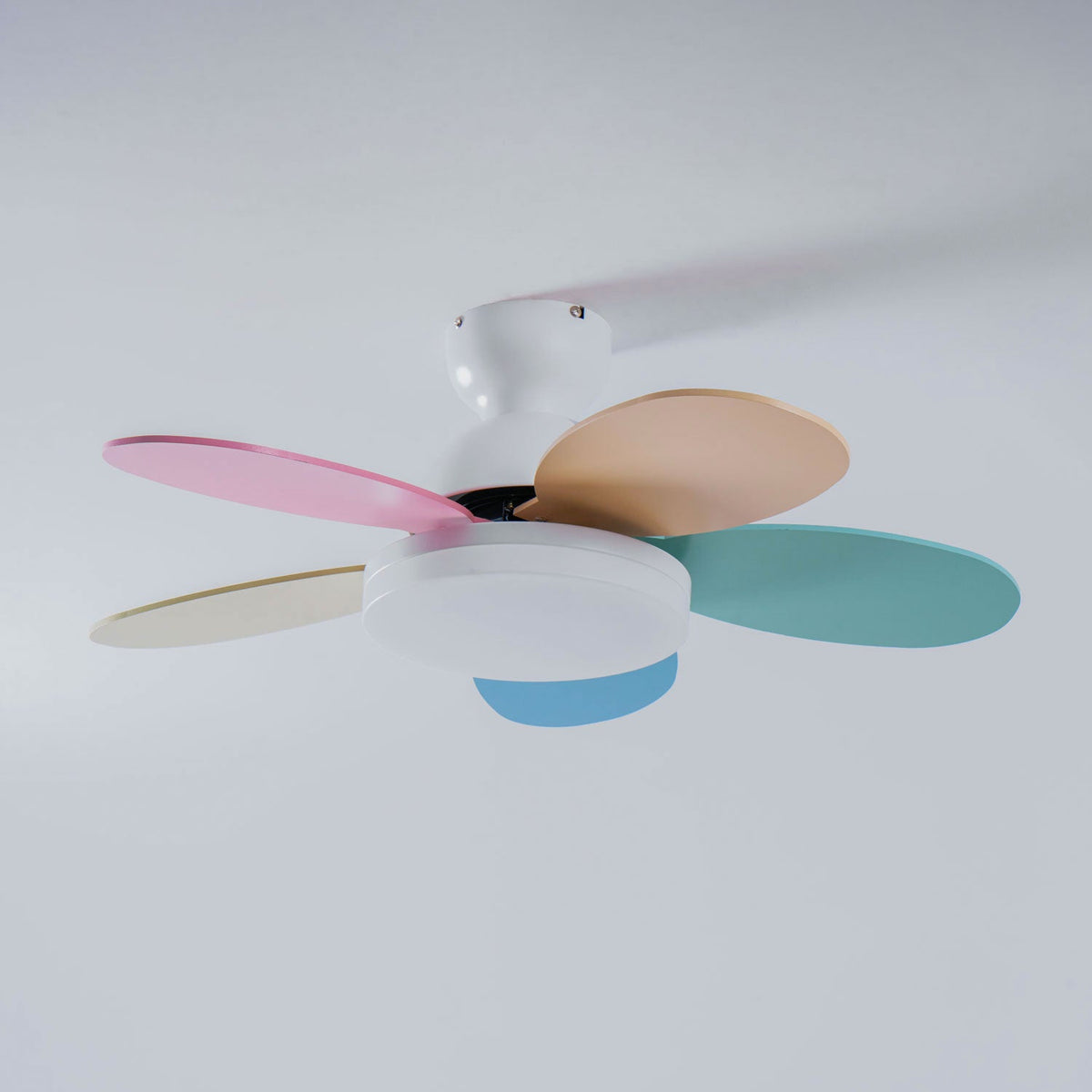 Petalo Nordic Petal-Shaped Acrylic Ceiling Fan Light