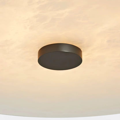 Ankeny Minimalist Alabaster Ceiling and Wall Light