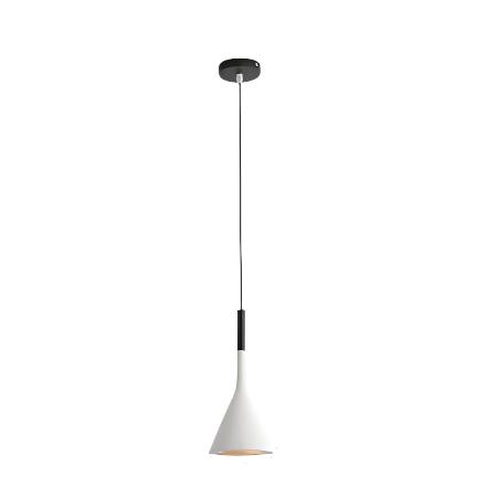 Magna Minimal Pendant Light