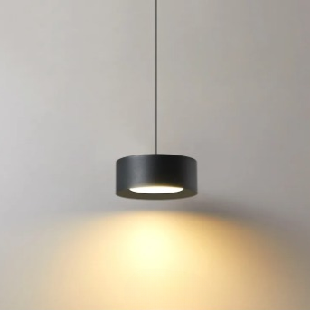 Ronde Paneel Acryl Hanglamp