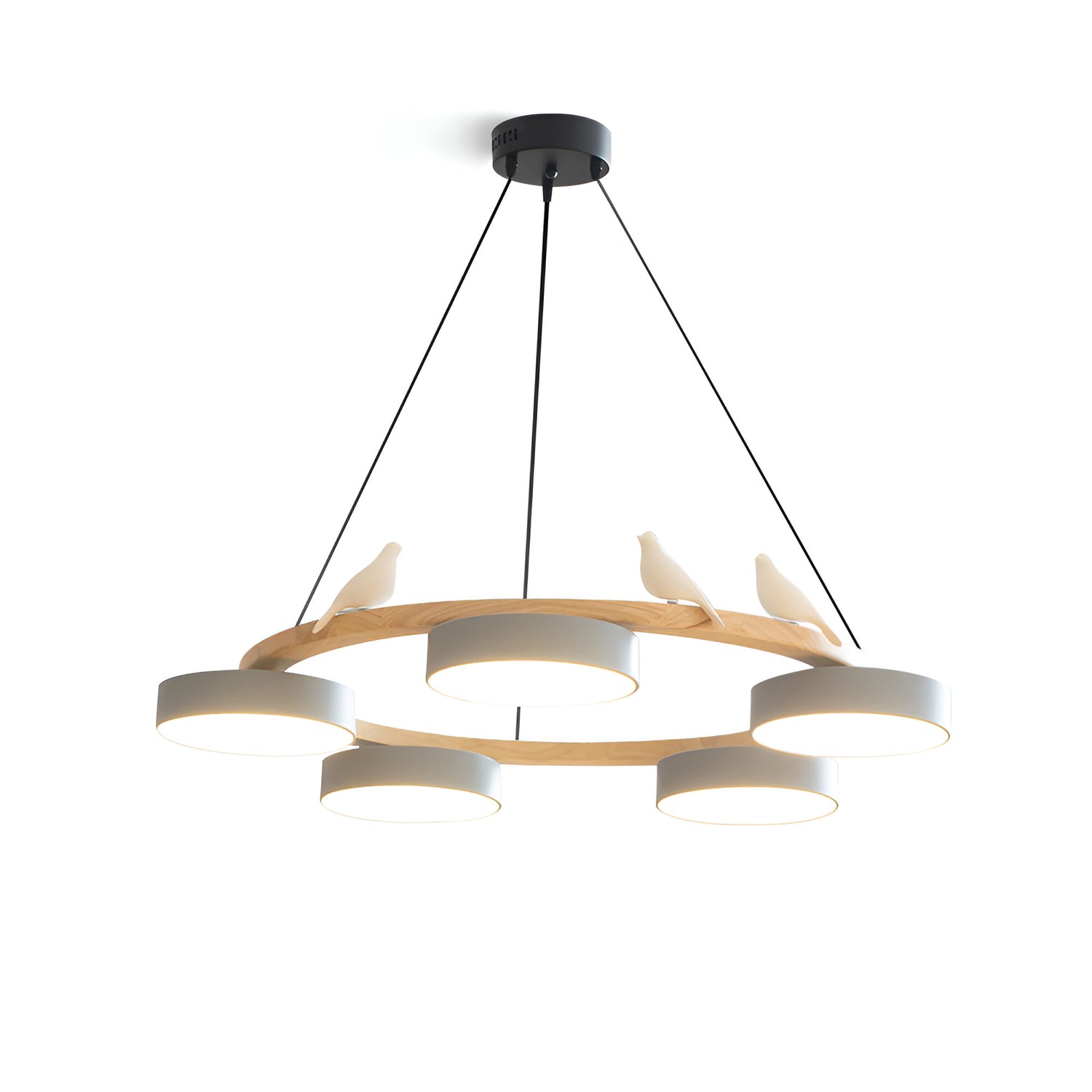 Sienna Nordic Acrylic Bird Round Pendant Light