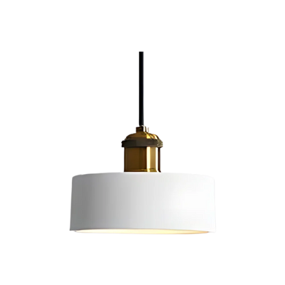 The Refined Scandi Ceiling Lamp