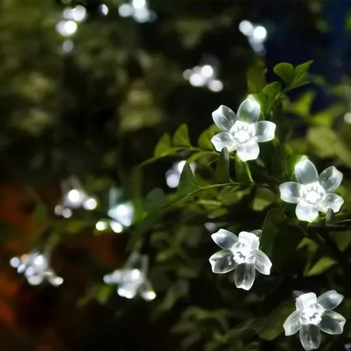 Solar Garden Flower Light