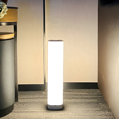 Acrylic Column Shade USB LED Table Lamp