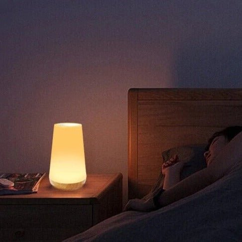 Halina Portable Table Lamp