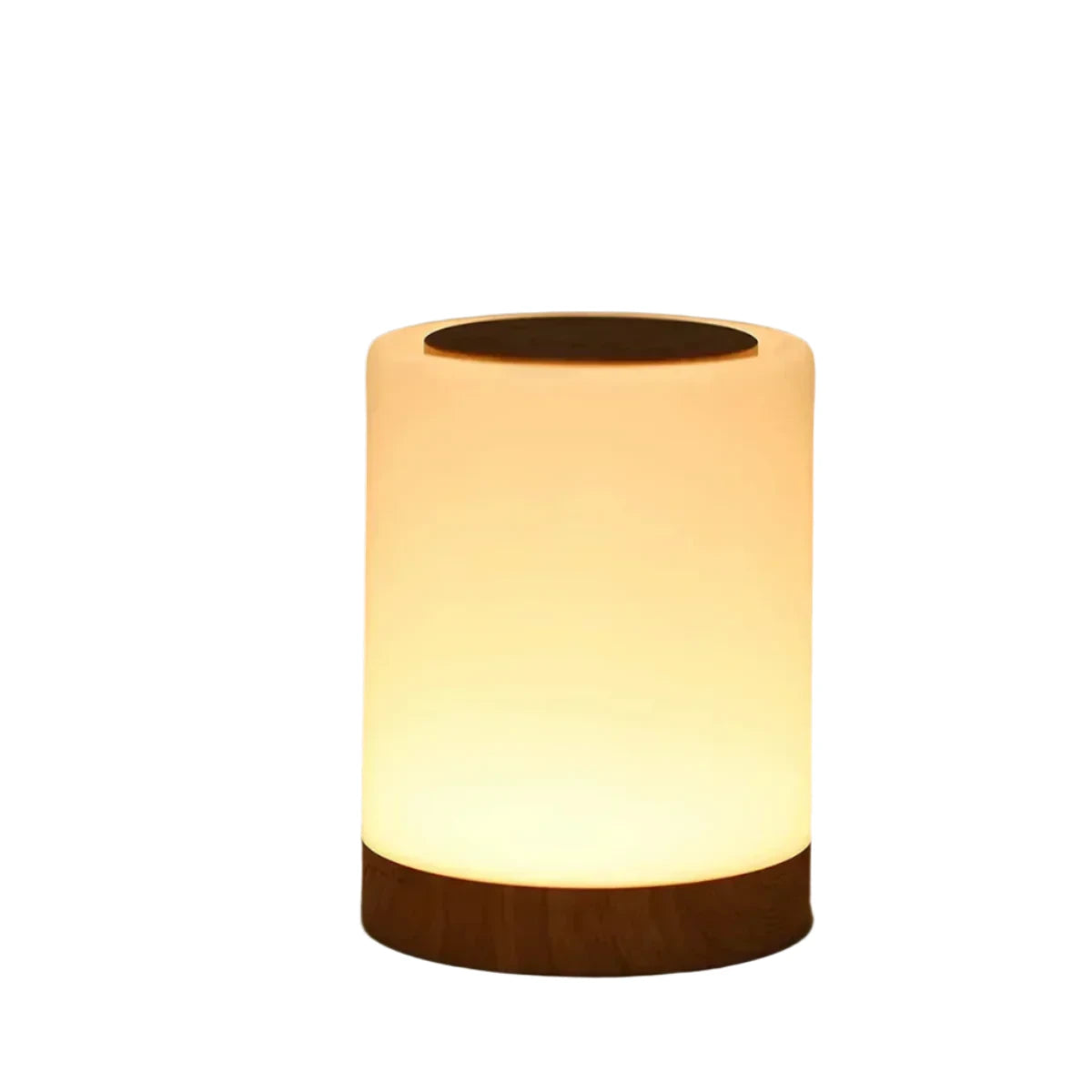 Halina Portable Table Lamp